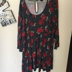 Adorable empire waist spring/fall dress. Torrid